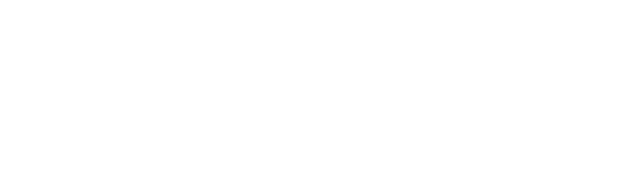 Skelipay